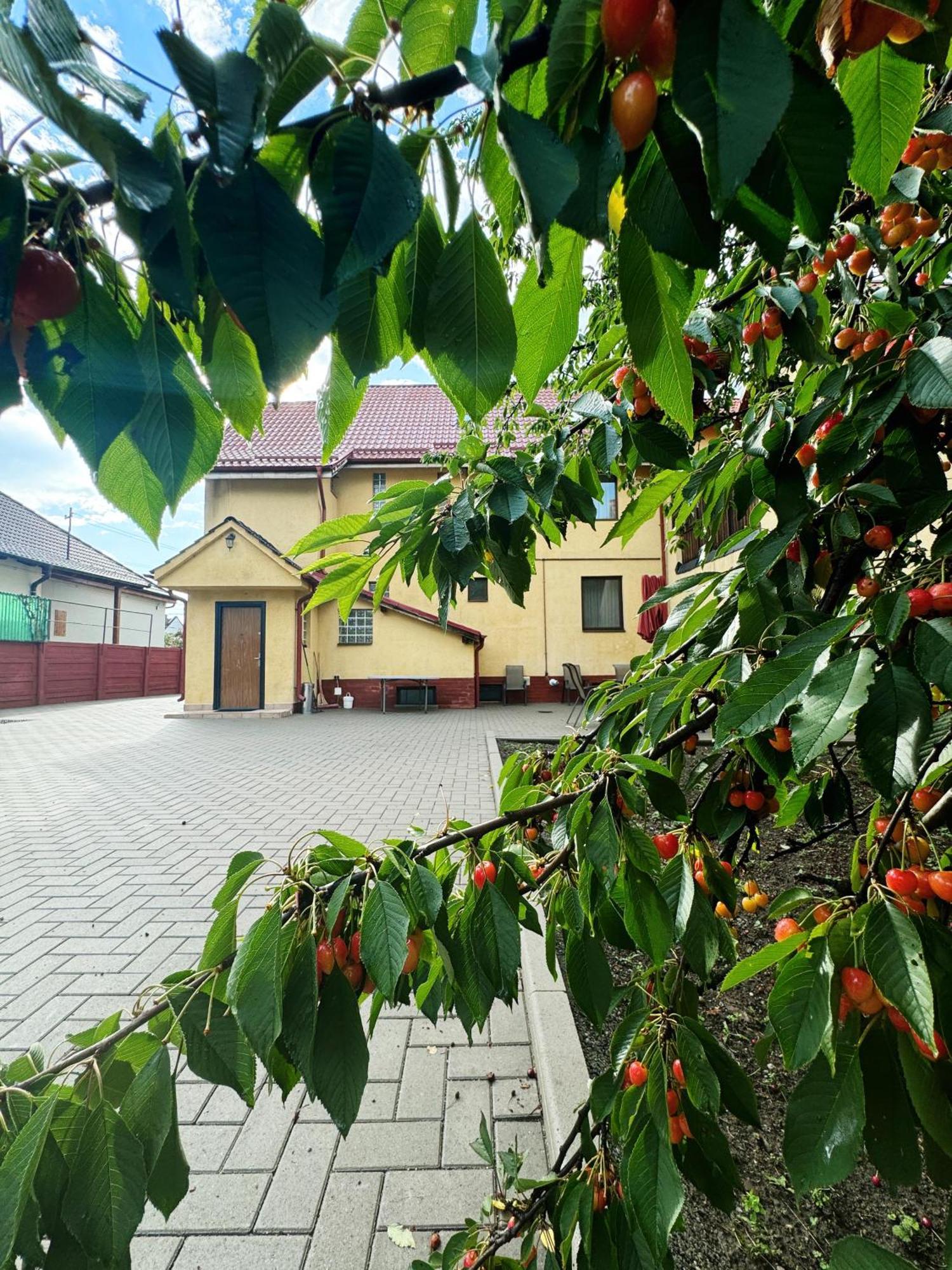 Carpathian Newstar Hotel Sibiu Luaran gambar